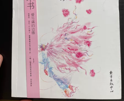 郭敬明 爱与痛的边缘 12包邮 售出不退换...