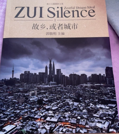 郭敬明小说 《故乡，或者城市》已拆封 很新...