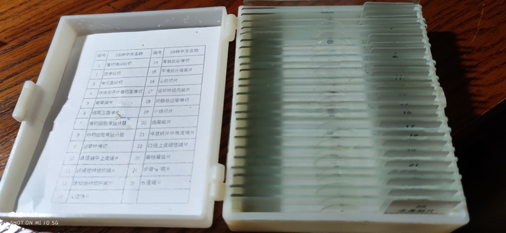 生物标本