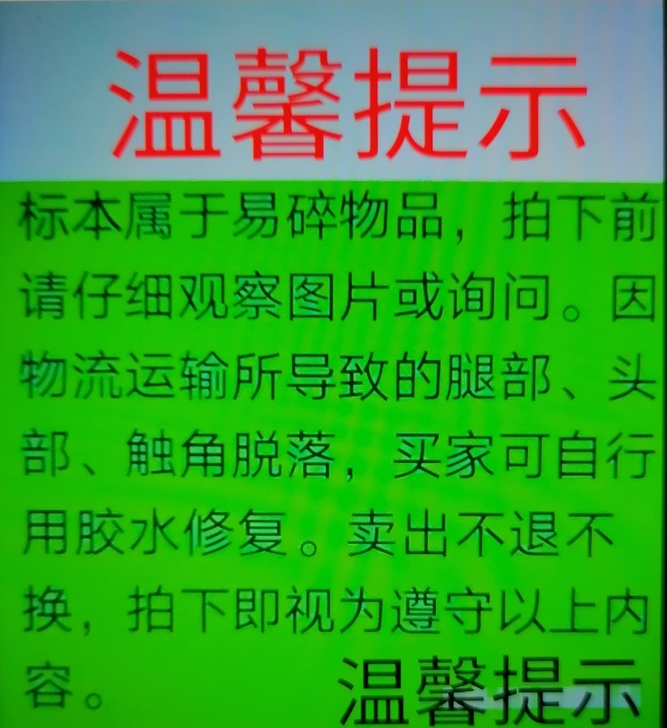 甲虫标本（16只）：买家专拍，看好下单售出...