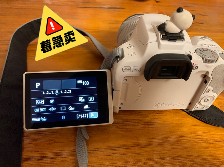 品牌型号 佳能200D
