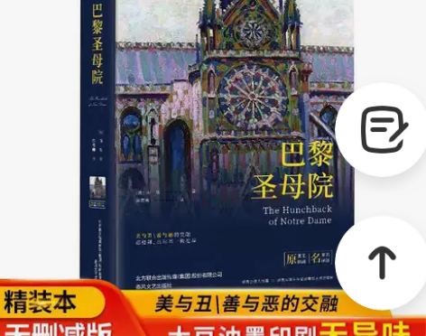 巴黎圣母院 精装本无删减完整版 美与丑善与...