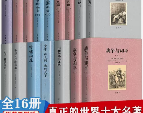 巴黎圣母院 巴黎圣母院悲惨世界世界十大名著...
