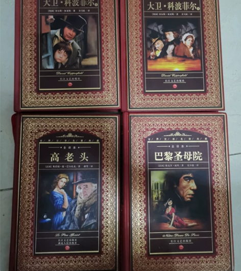 《巴黎圣母院》《高老头》《大卫•科波菲尔》...