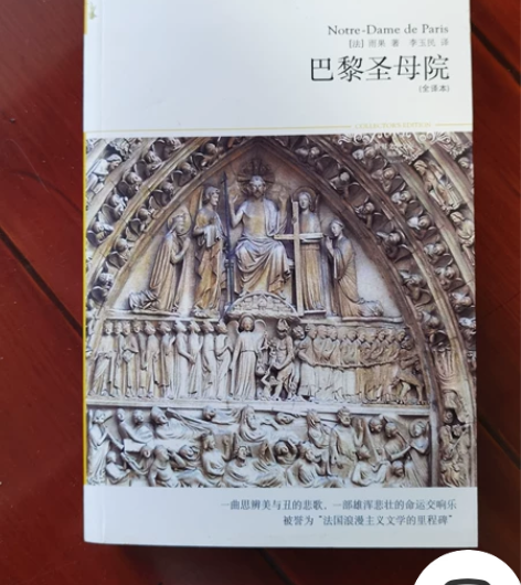 巴黎圣母院 /法 雨果 中小学青少年课外阅...