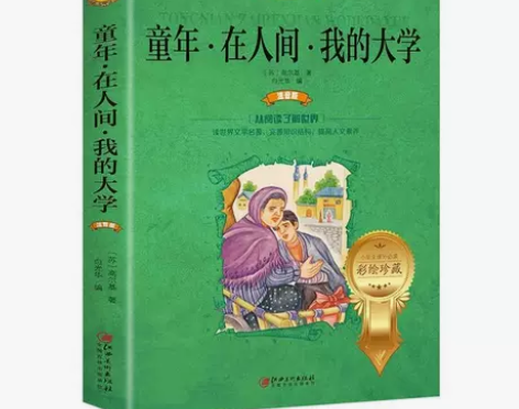 童年在人间我的大学世界文学名著少儿拓展阅读...