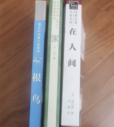 《根鸟》《家》《在人间》！学生必读书目！3...