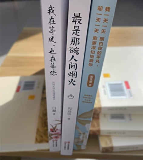 《我在等风也等你》+《人间烟火》2本书 单...