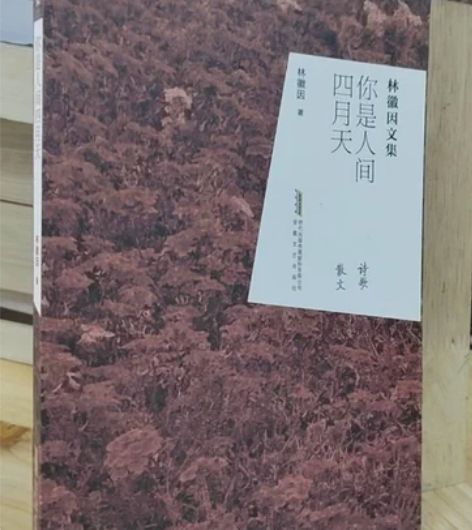 正版二手 你是人间四月天 林徽因 安徽文艺...