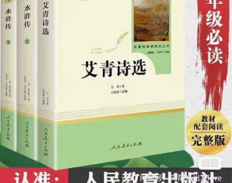 (全新)水浒传艾青诗选九上必读全新 全新 ...