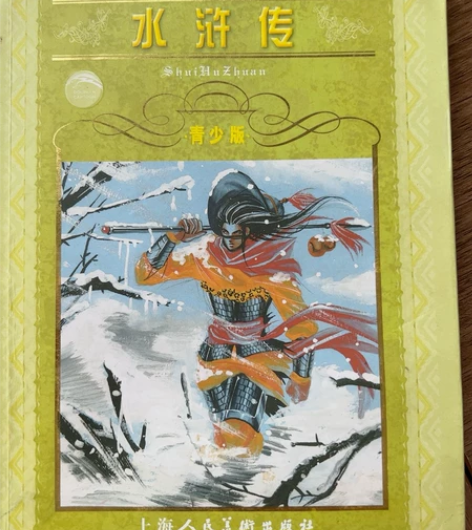 水浒传青少年版。艾青诗选。皆为初中考试篇目...