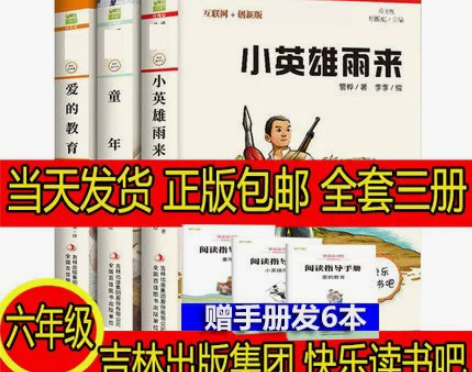 童年六年级必读课外书 小英雄雨来 爱的教育