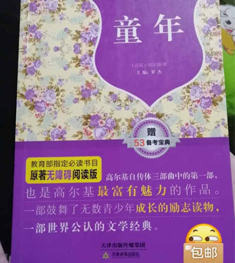 《童年》 主编:罗杰 天津教育出版社 原著...