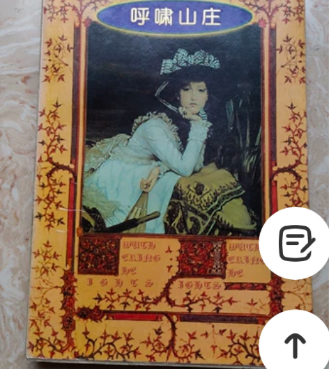 呼啸山庄 小说闲置出售。 书店买的。自己看...