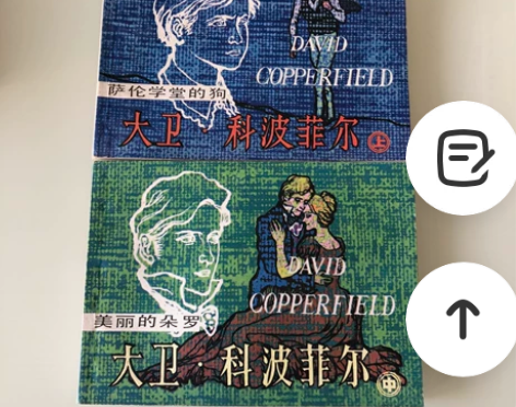 大卫科波菲尔连环画 两本50出 品新线装，...