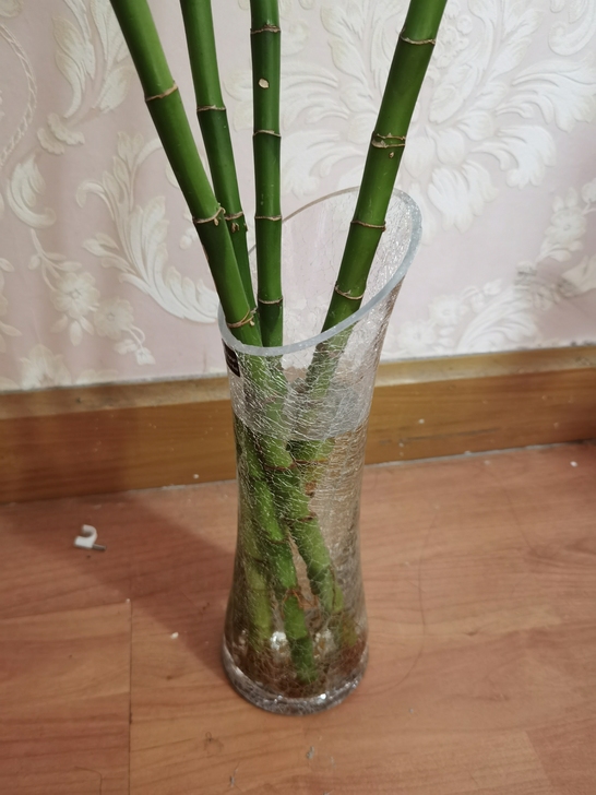 花瓶30，两个