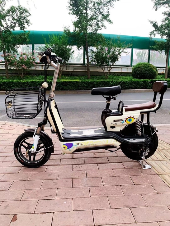 二手电动车爱玛  买一送五电瓶车