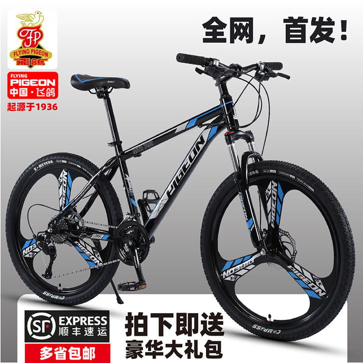 FLYING PIGEON/飞鸽 山地自行...
