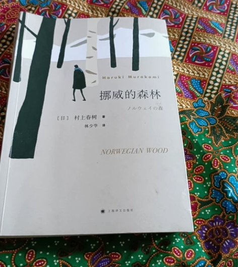 村上春树写的小说《挪威的森林》，正版，宿豫...