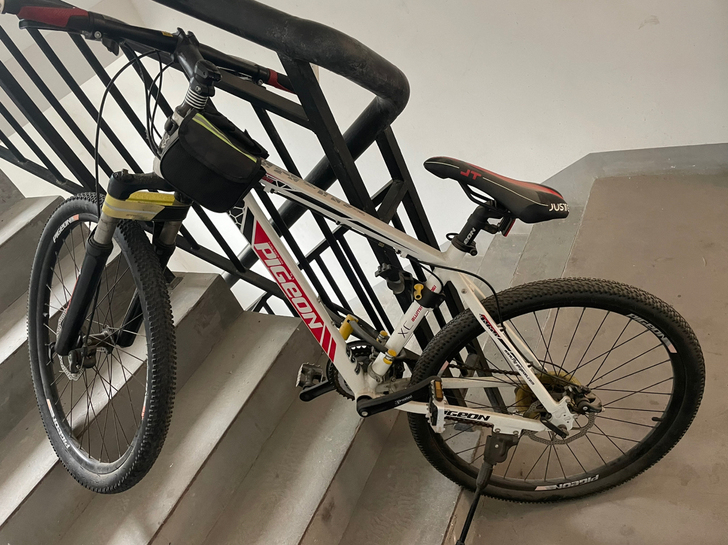 飞鸽山地车，买了骑了没五次，配一把立兆车锁。