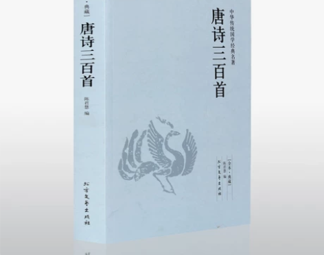 唐诗三百首 原文+解析 唐诗大鉴赏书 人文...