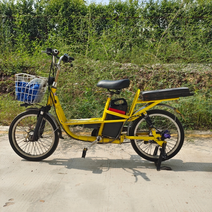 电动自行车 有脚踏不怕交警 48-12锂电...