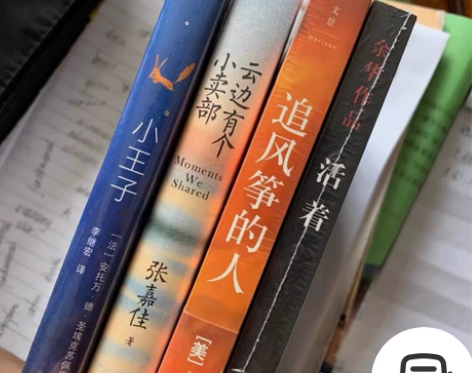 云边有个小卖部 房思琪的初恋乐园 皮囊 百...