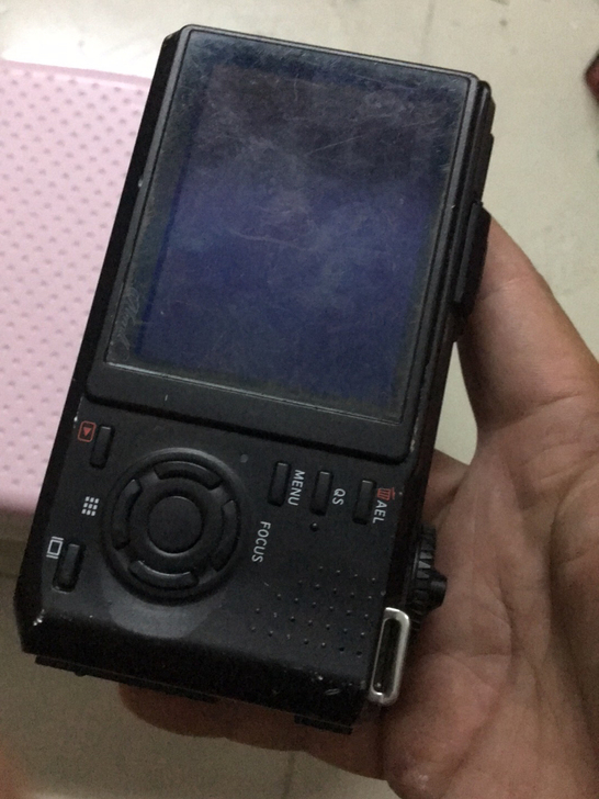 适马dp1m