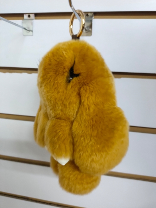 喜欢的快来,撤店处理就这几个。真毛獭兔