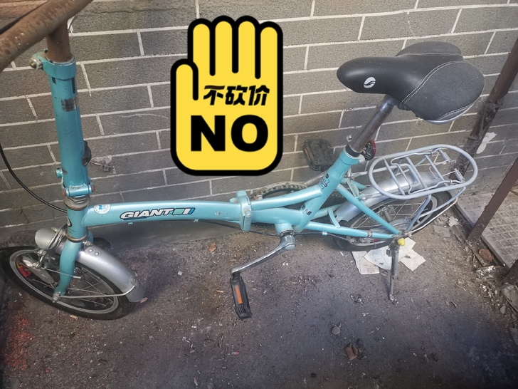 大童自行车，楼下放的有点脏，质量很好的，买...