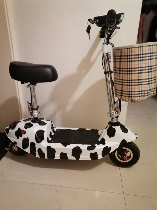 思帝诺小海豚电瓶车迷你小型电动车代步折叠便...