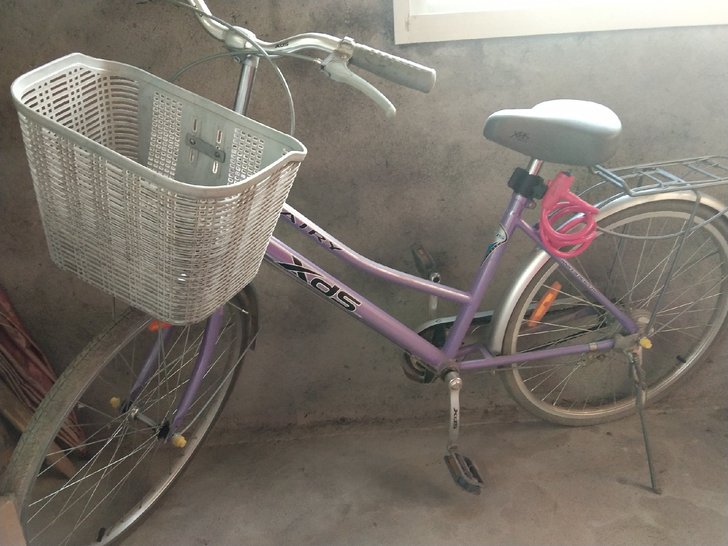 喜德盛自行车脚踏车,各项零件完好,没有修理...