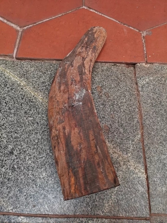 8119$$##$$酸枝交趾黄檀 重1.4斤