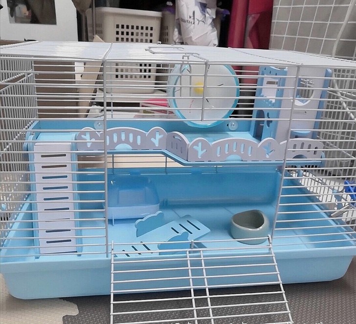 图里所有东西一起打包了出