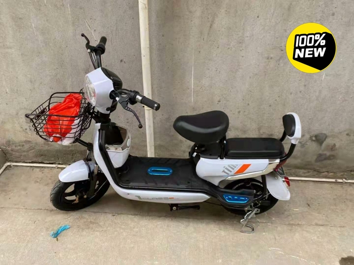 [全新全国包邮]可上牌新国标新款电动车成人...