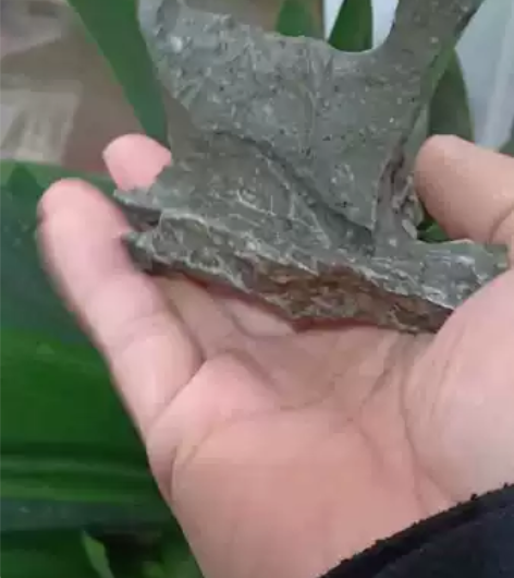 戈壁动物象形风凌石摆件,9*8*5cm,1...