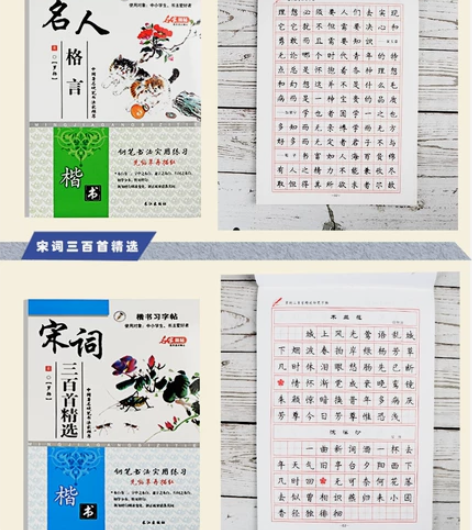 罗扬楷书练字帖 钢笔临摹字帖书法书写练习 ...