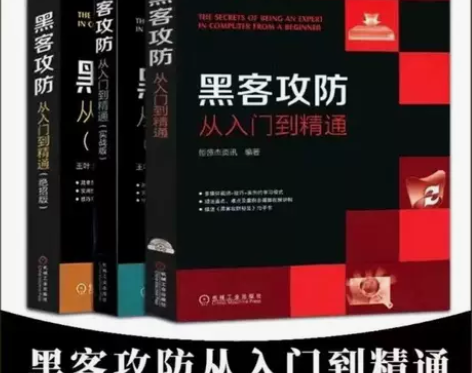 黑客攻防从入门到精通 实战篇 绝招版高手技...