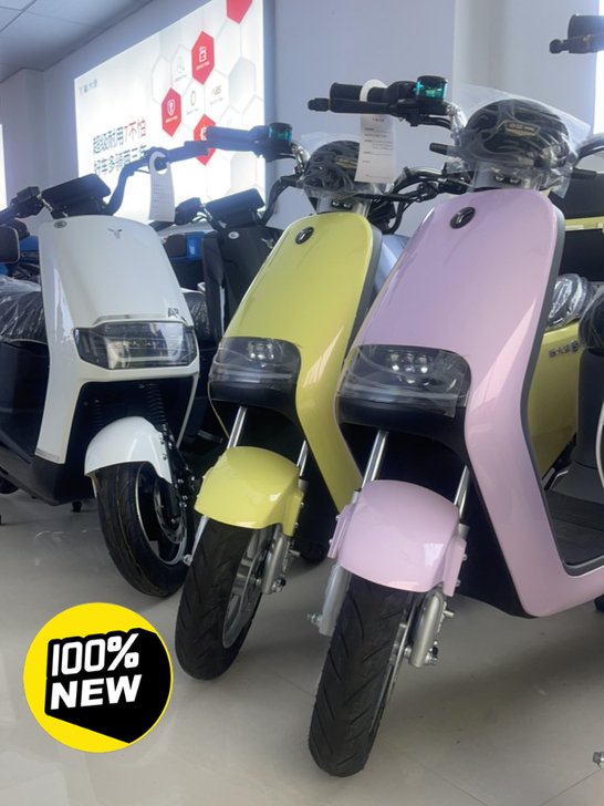 全新电动车，新大洲品牌
