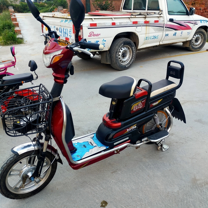 小鸟大架子电动车9成新，48V20蓄电池速...
