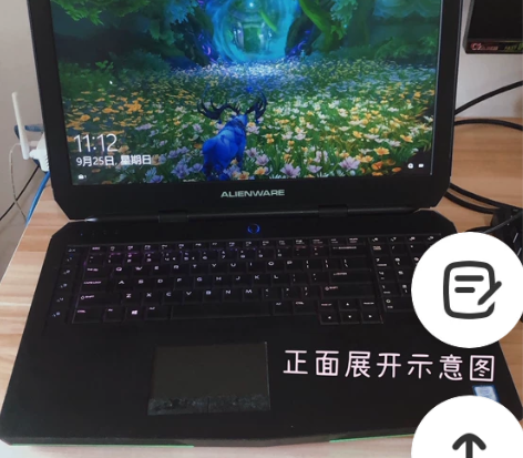 外星人Alienware 17R3 201...