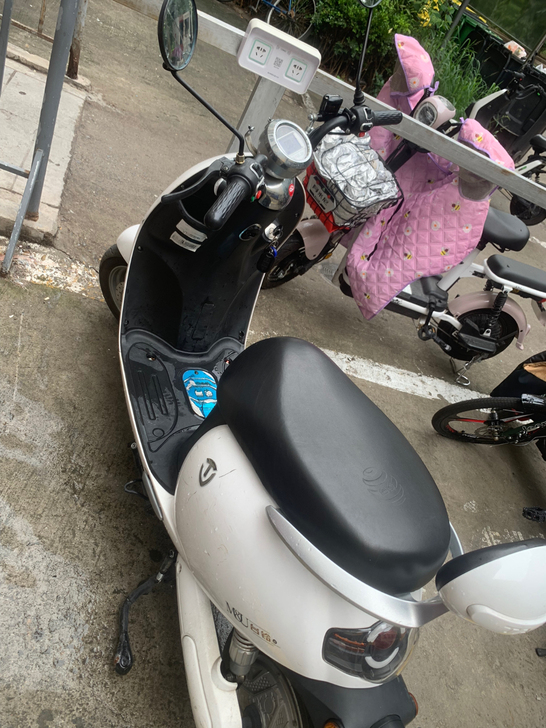 品牌型号 ：台铃