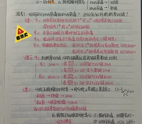 最 全 高 中 生 物 优秀 笔 记，字体...