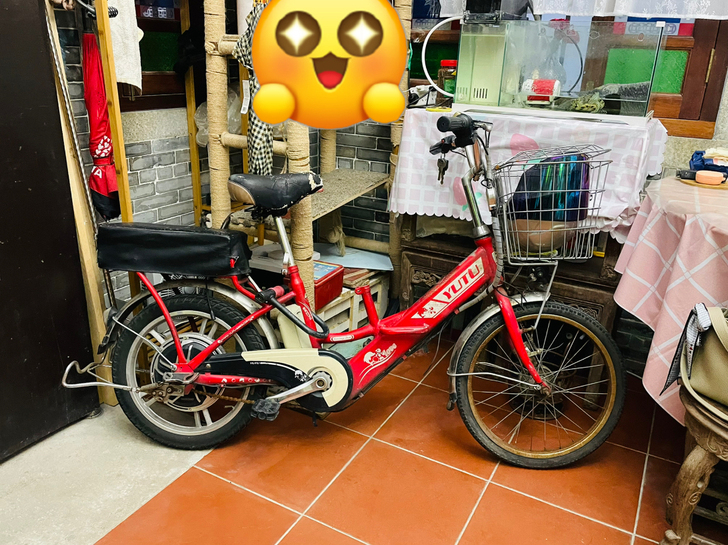 48V愉途yutu电动车电动自行车，电池正...