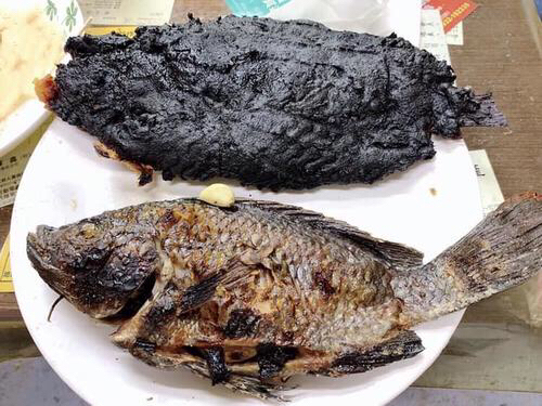 seiko精工手表    我正在煎鱼，你私...