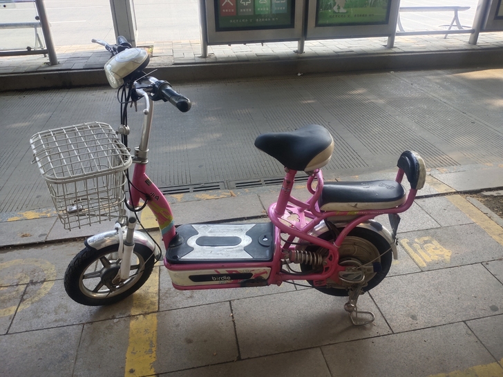 小鸟电动车，低价处理，很好骑，能跑20公里...