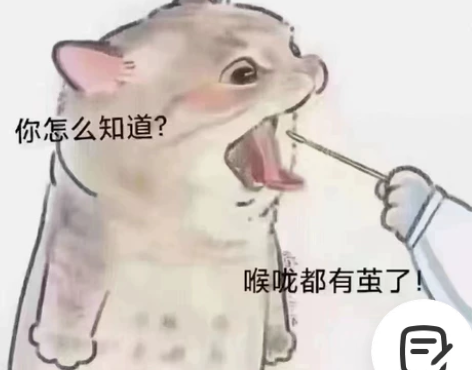 公务员考试申论串讲，2022高分实战经验 ...