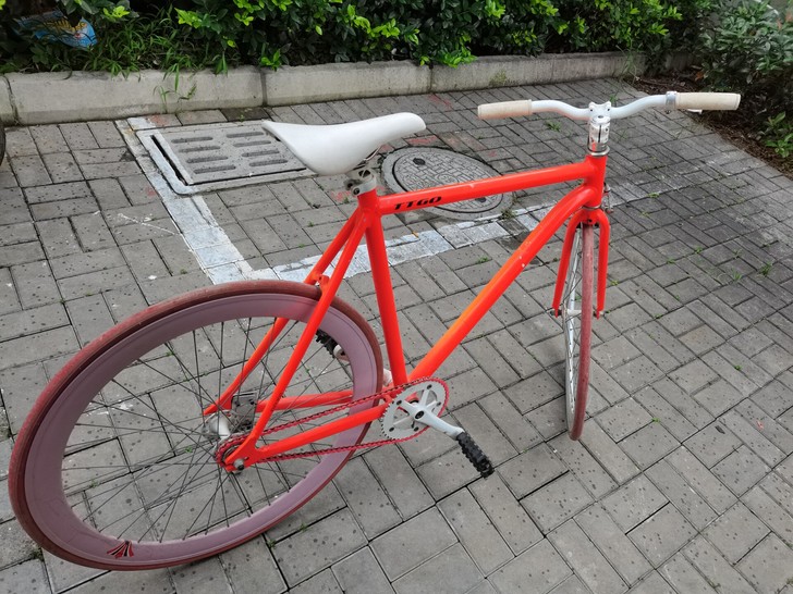 TTGO死飞，小孩大了，没人玩，转给有缘人。