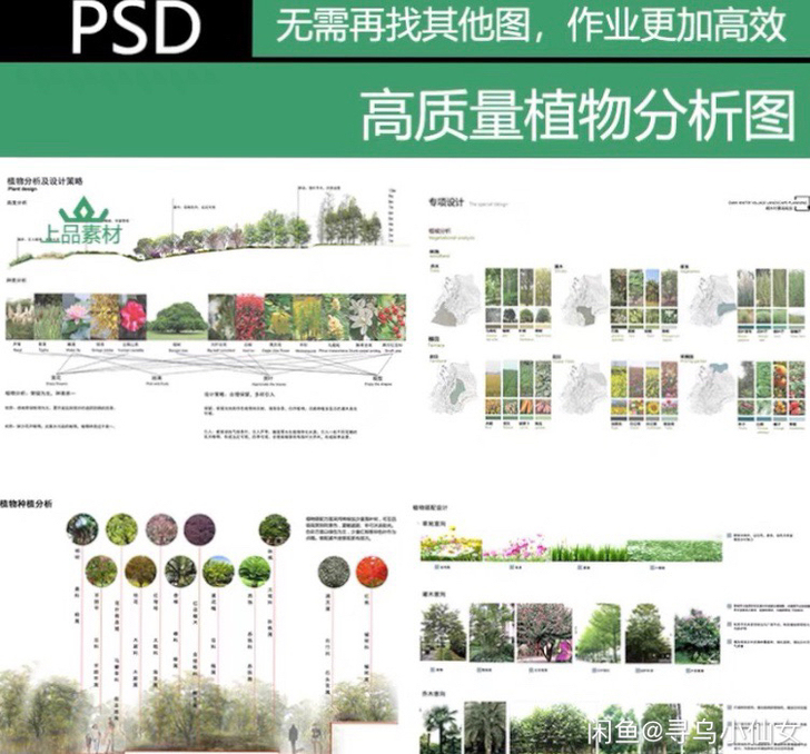 景观园林ps植物分析图PSD素材景观竞赛风...