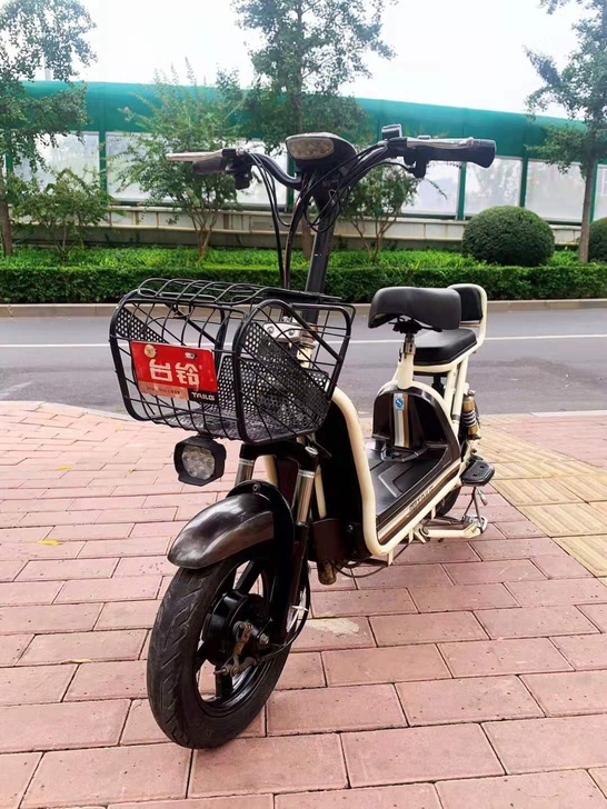 台铃电动车 铅酸电池48V12A 续航...